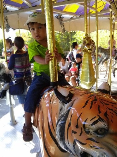 tigerCarousel