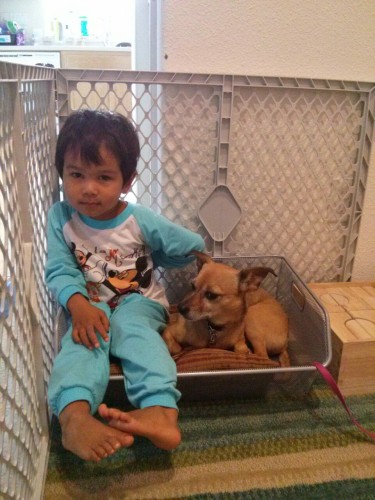 Boy and dog in box