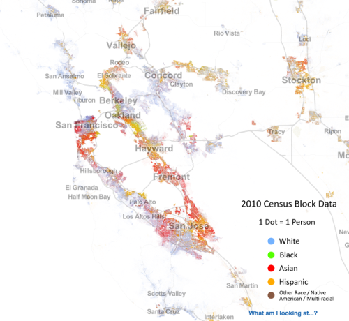 Race distribution in Silicon Valley