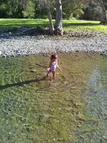 River-crossing stick