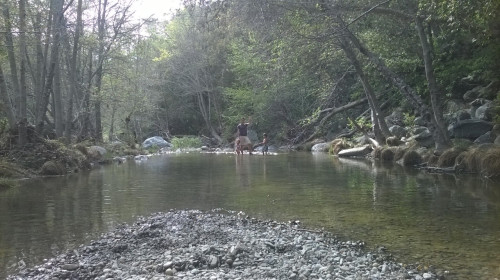 Exploring downstream