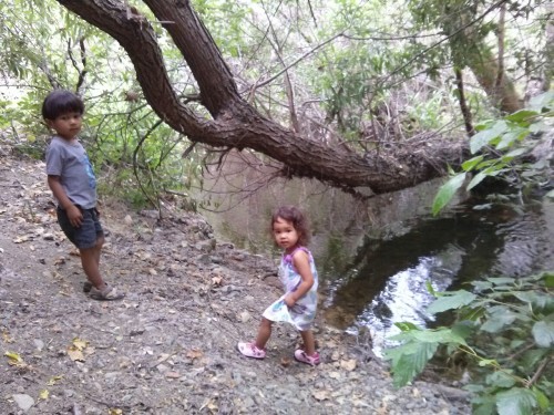 Back at the creek at the park, while mama hosted her bf group