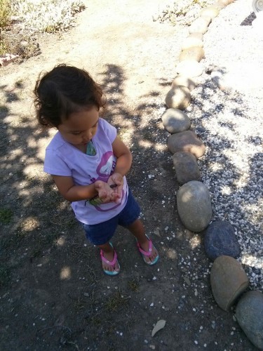 Stealing a rock from the first house we made an offer on