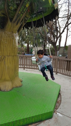 Tree swing zooming monkey