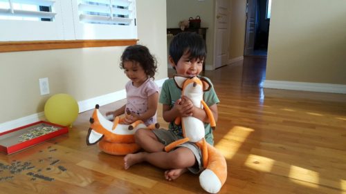 Foxes from Little Prince paid a surprise visit (thanks to mama)